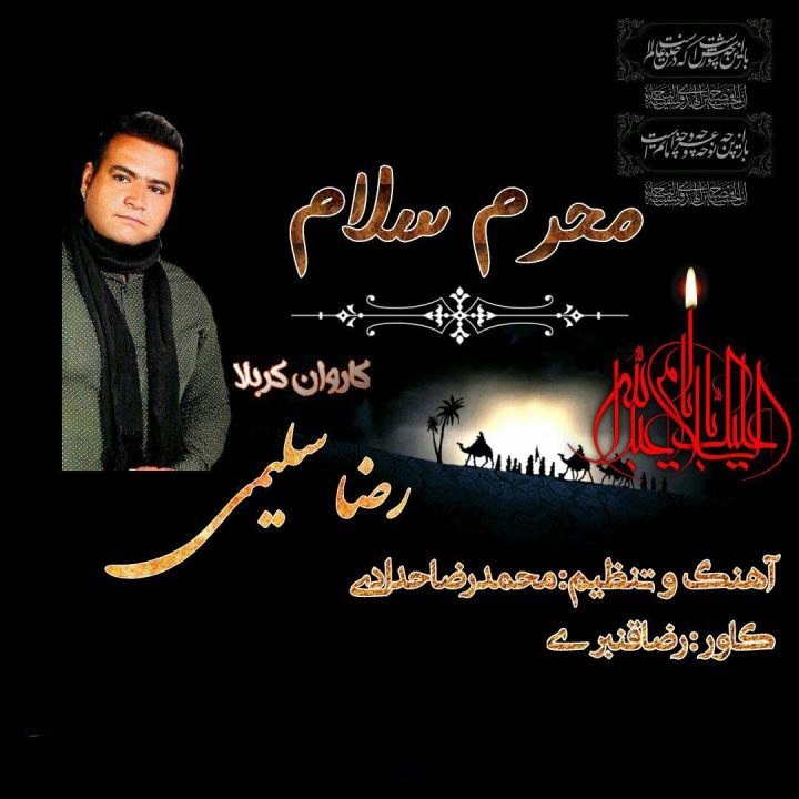 رضا سلیمی علمدار کربلا